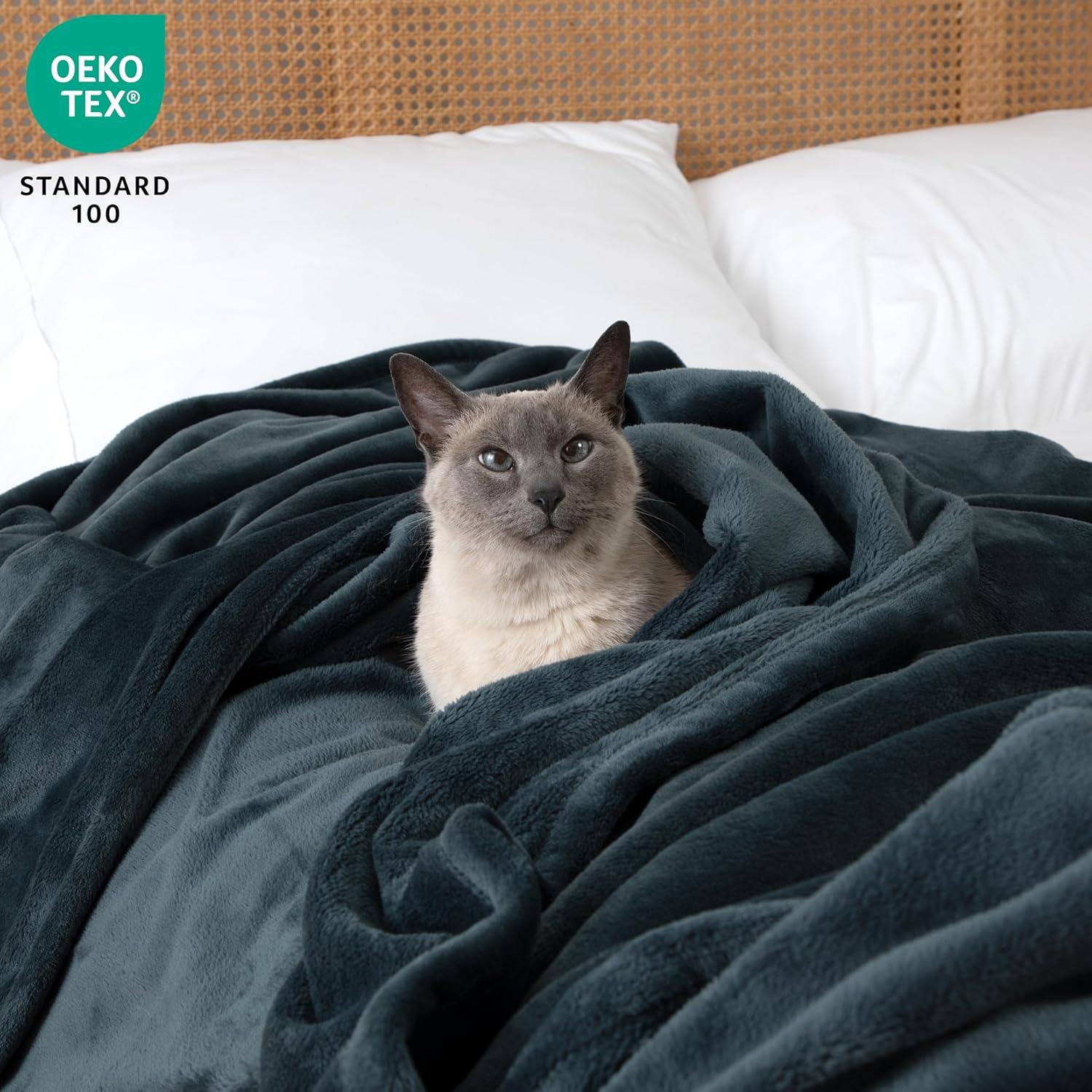 Casual Living, Blanket, 32594