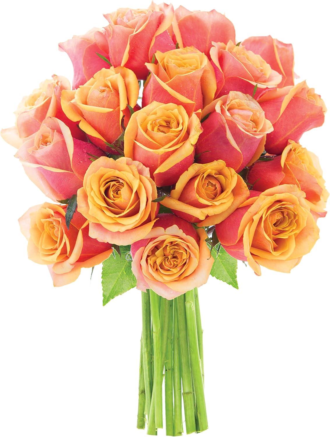 KaBloom :18 Orange Roses, Next-Day Delivery, Gift for Every Occasion.