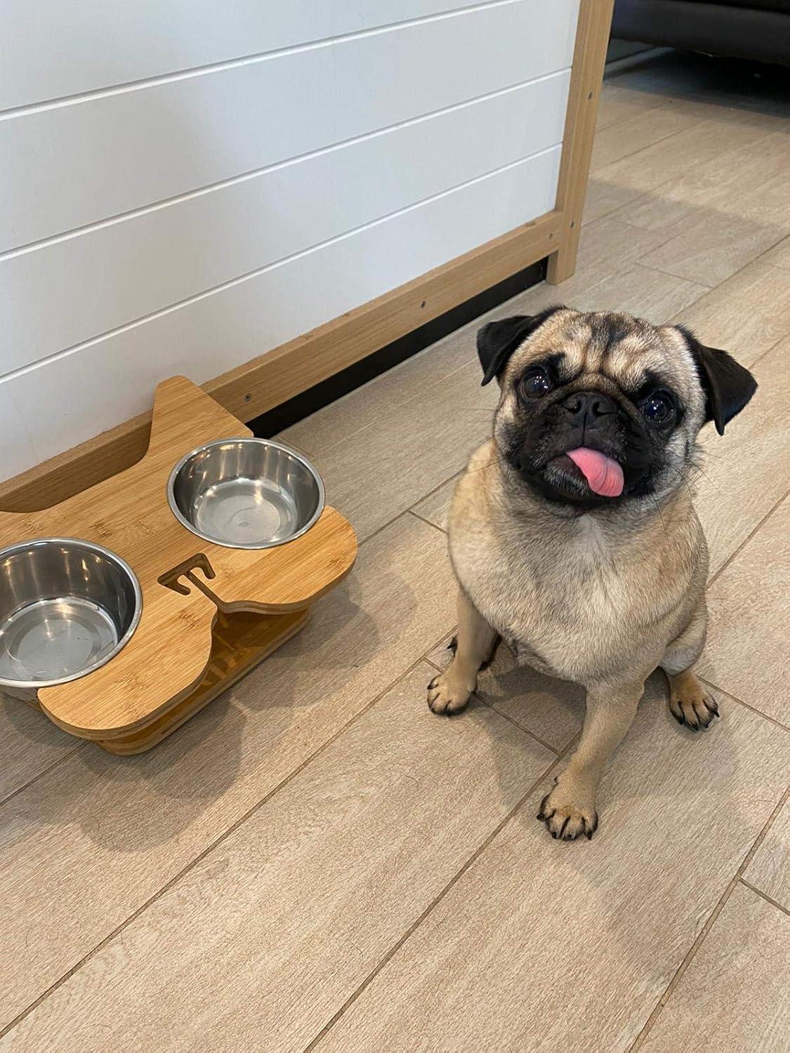 Large Elevated Bamboo and Stainless Steel Dog Feeder