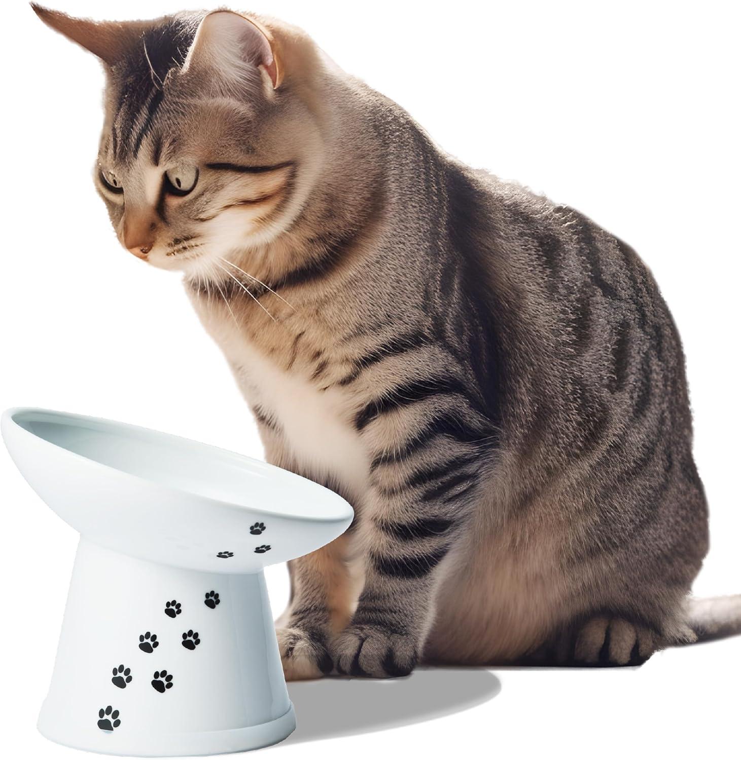 Tilted Stress Free Raised Cat Food Bowl