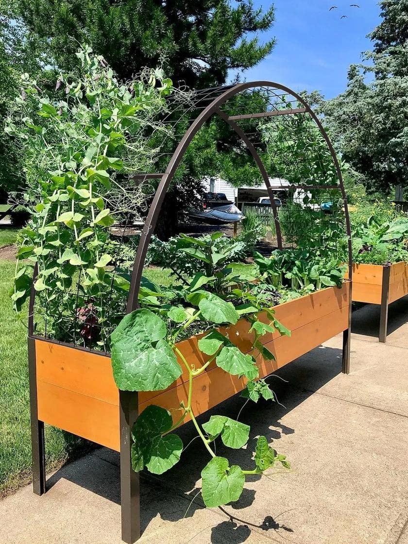 Gardener's Supply Company 2’ x 8’ Arch Trellis for Planter Boxes