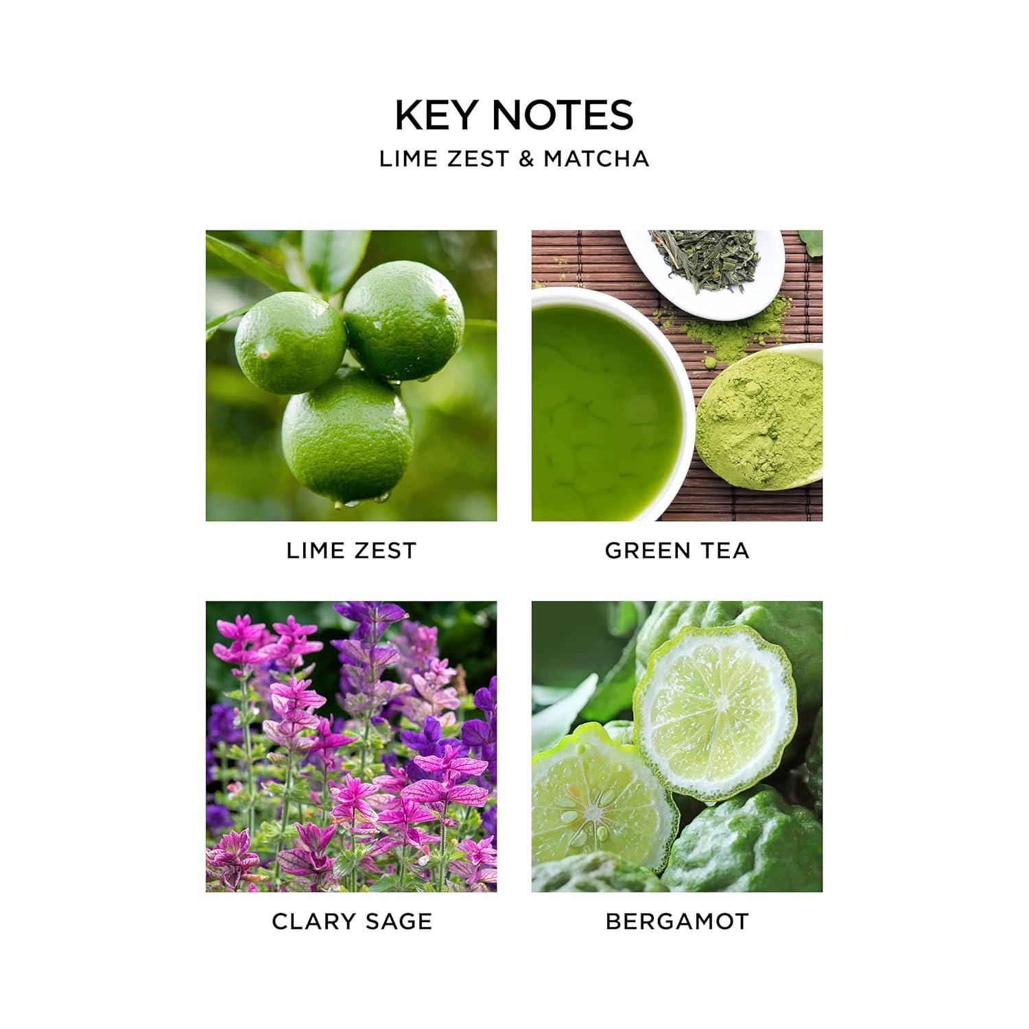 Nest Fragrances Lime Zest And Matcha Reed Diffuser