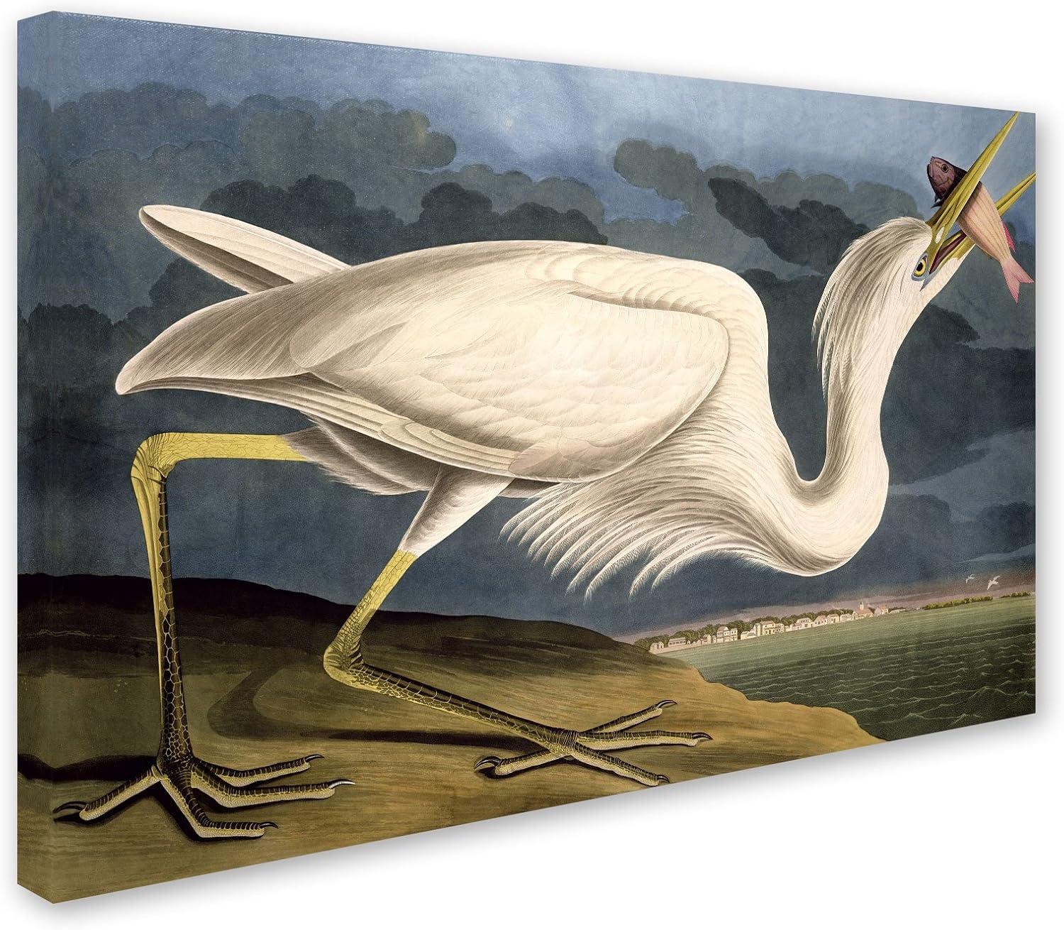 Art.com Great White Heron Art Print by John James Audubon, 24" x 16"