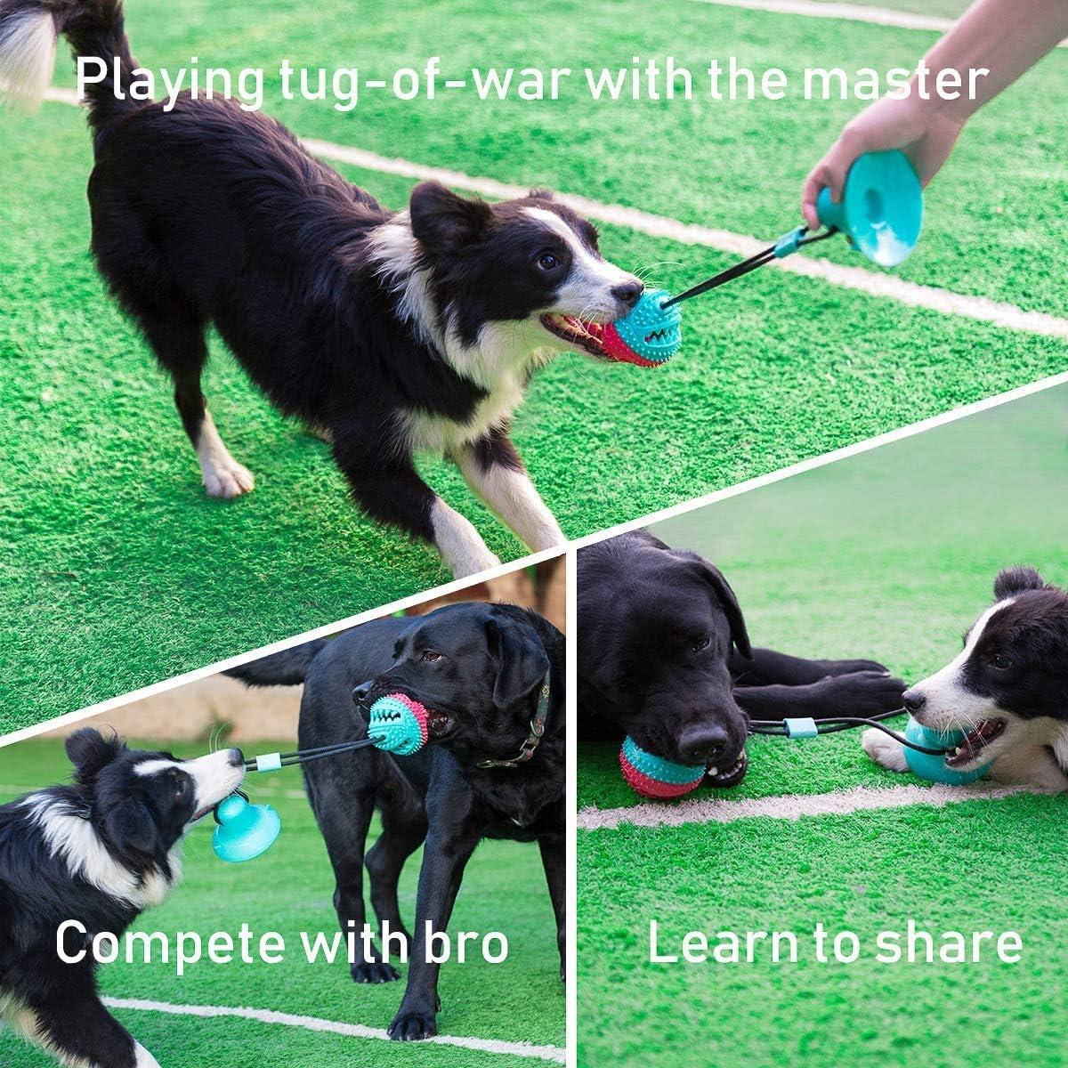 Red and Turquoise TPR Dog Chew Ball with Suction Cup