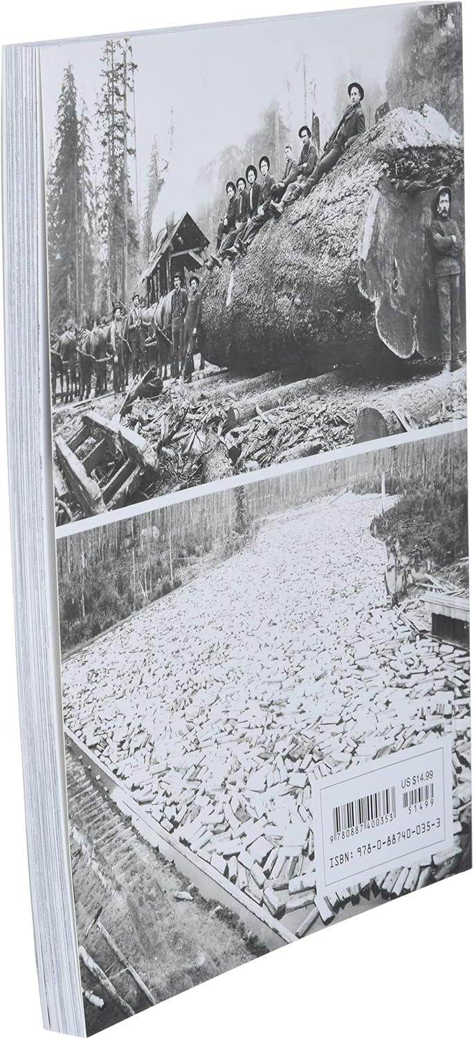 This Was Logging - (Drama Inteh Northwest Timber Country) by  Ralph W Andrews (Paperback)
