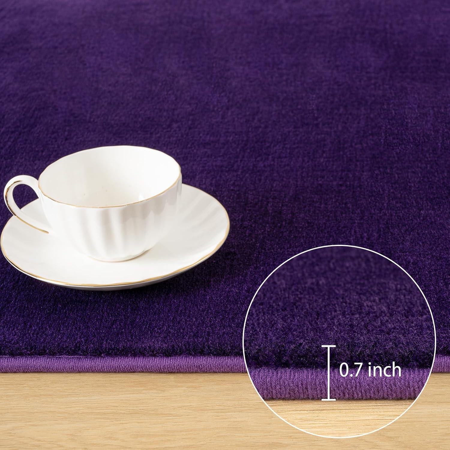 Athaniel Solid Color Machine Woven Polypropylene Area Rug in Purple