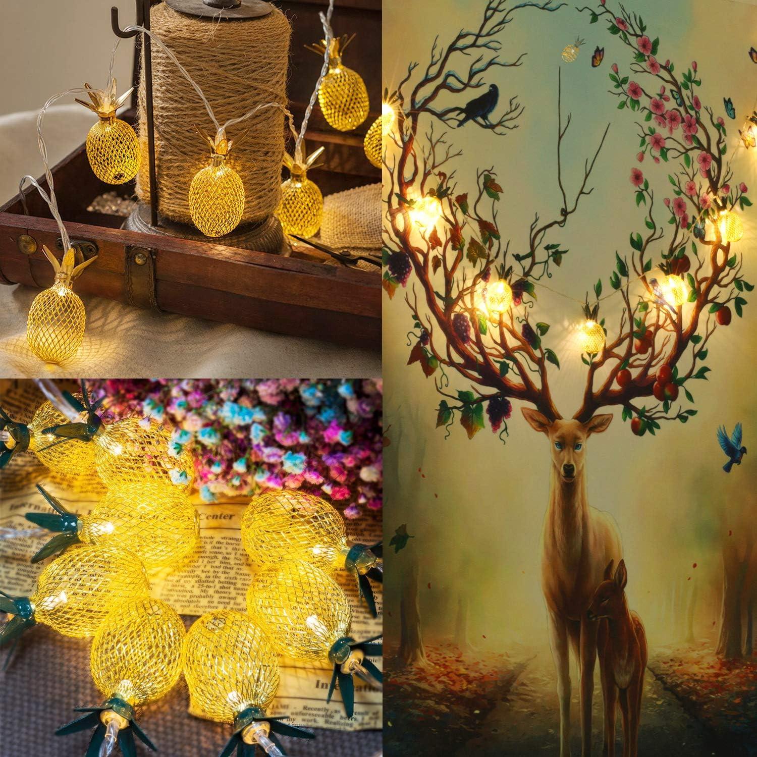 Betus 6.5 Ft 10 LEDs Pineapple Fairy String Light - Decor Gifts Battery Operated (Warm White)