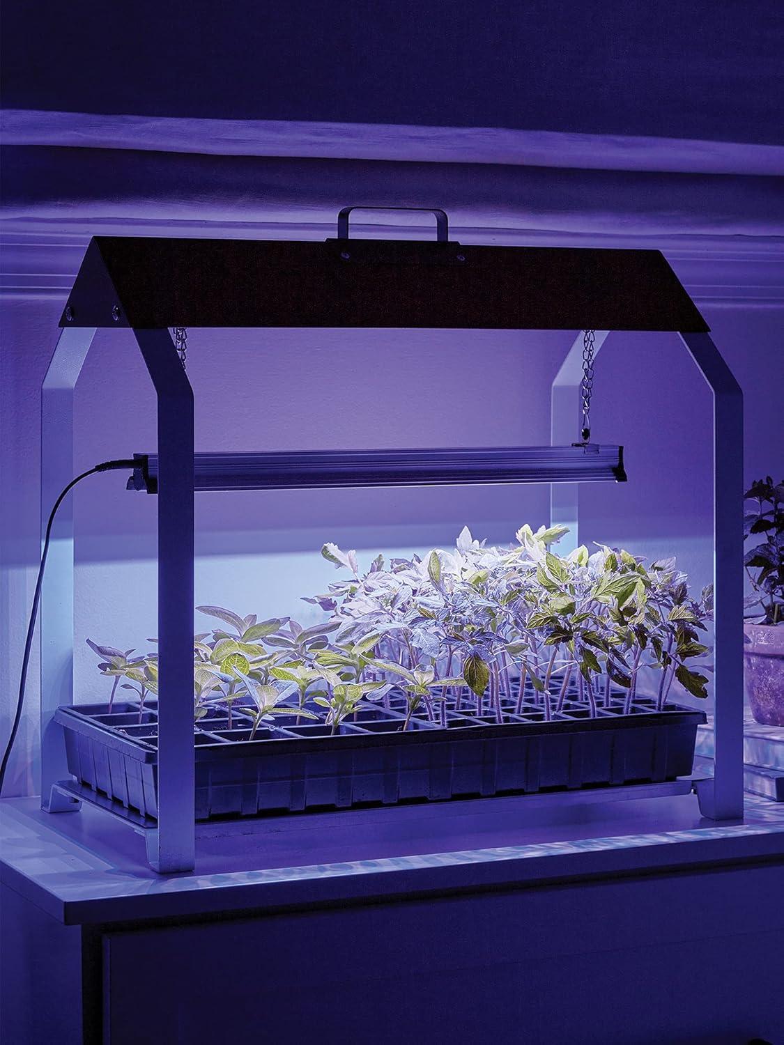 Grow Light, Fordhook LED