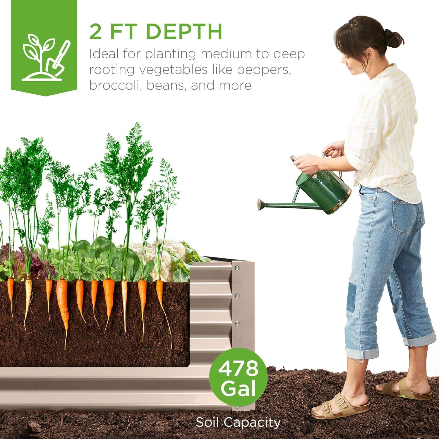 Arlmont & Co. Rosonda 8x4x2ft Outdoor Metal Raised Garden Bed, Planter Box for Vegetables, Flowers, Herbs