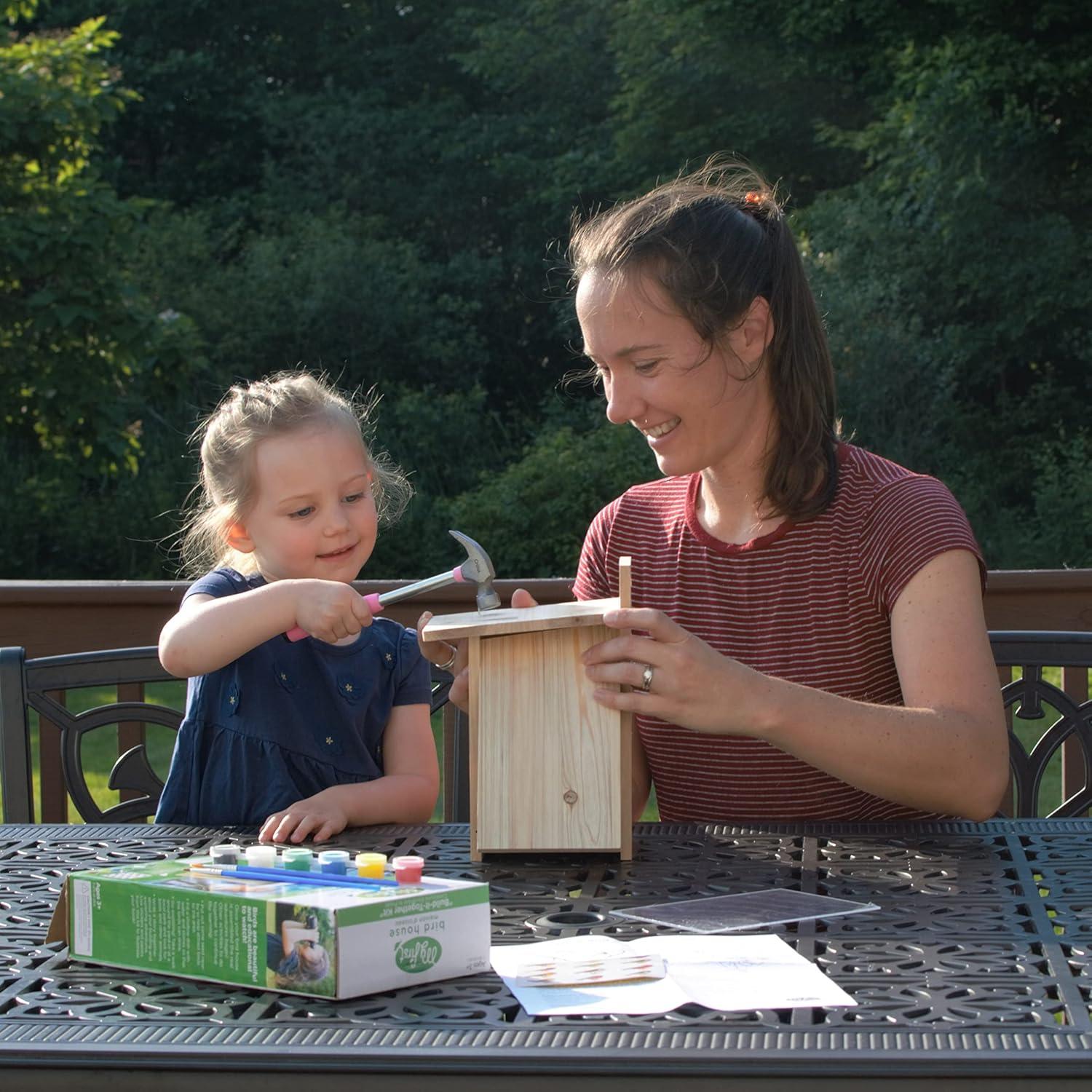 Nature's Way My First DIY Bird House To Paint, Assemble, and Decorate Wood Craft, 10"