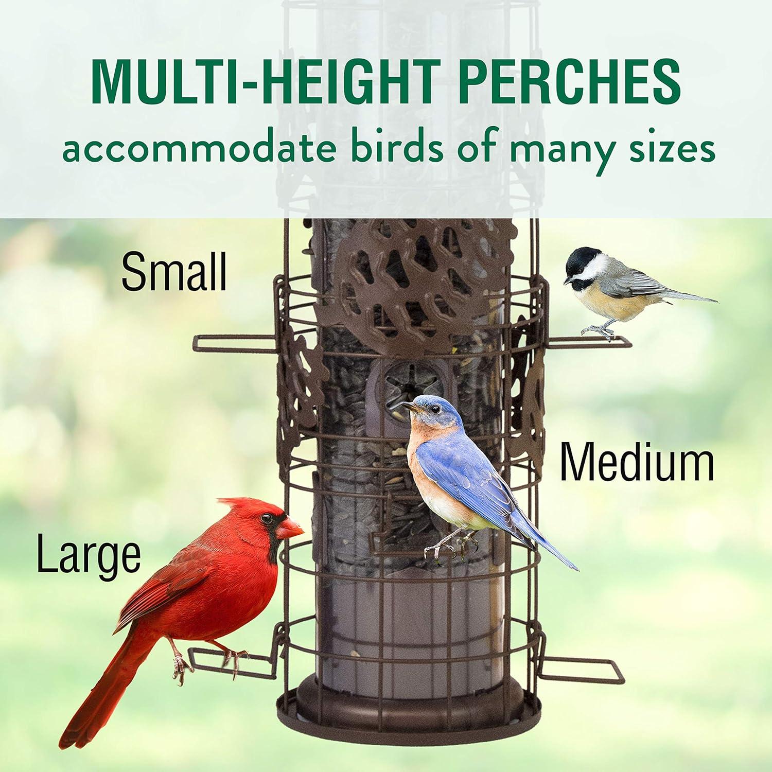 Perky-Pet Squirrel-Be-Gone Max Pinecone Bird Feeder Mesh Hanging Squirrel-Resistant Tube Bird feeder - 1.75-lb