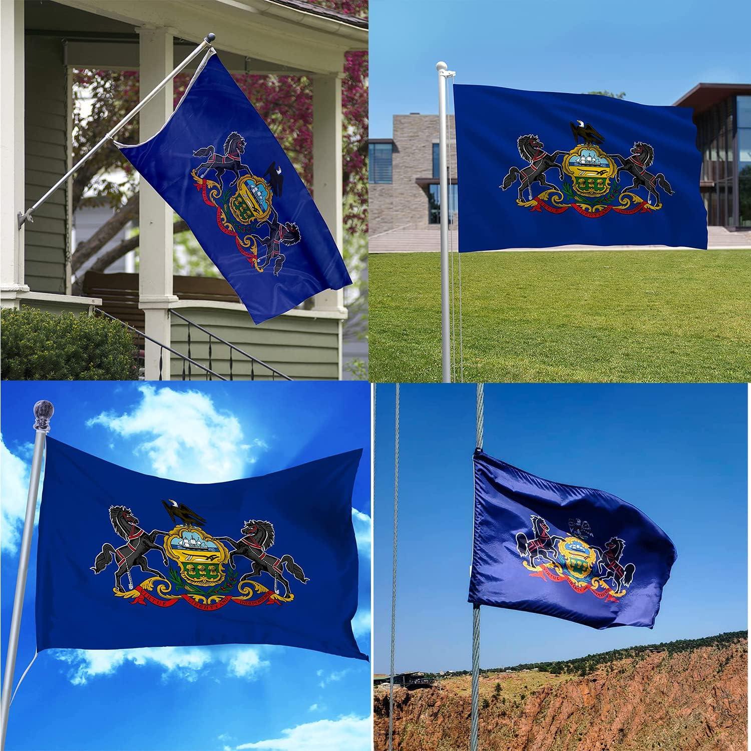 A.G.A.S 3x5 Ft Polyester Outdoor Flag