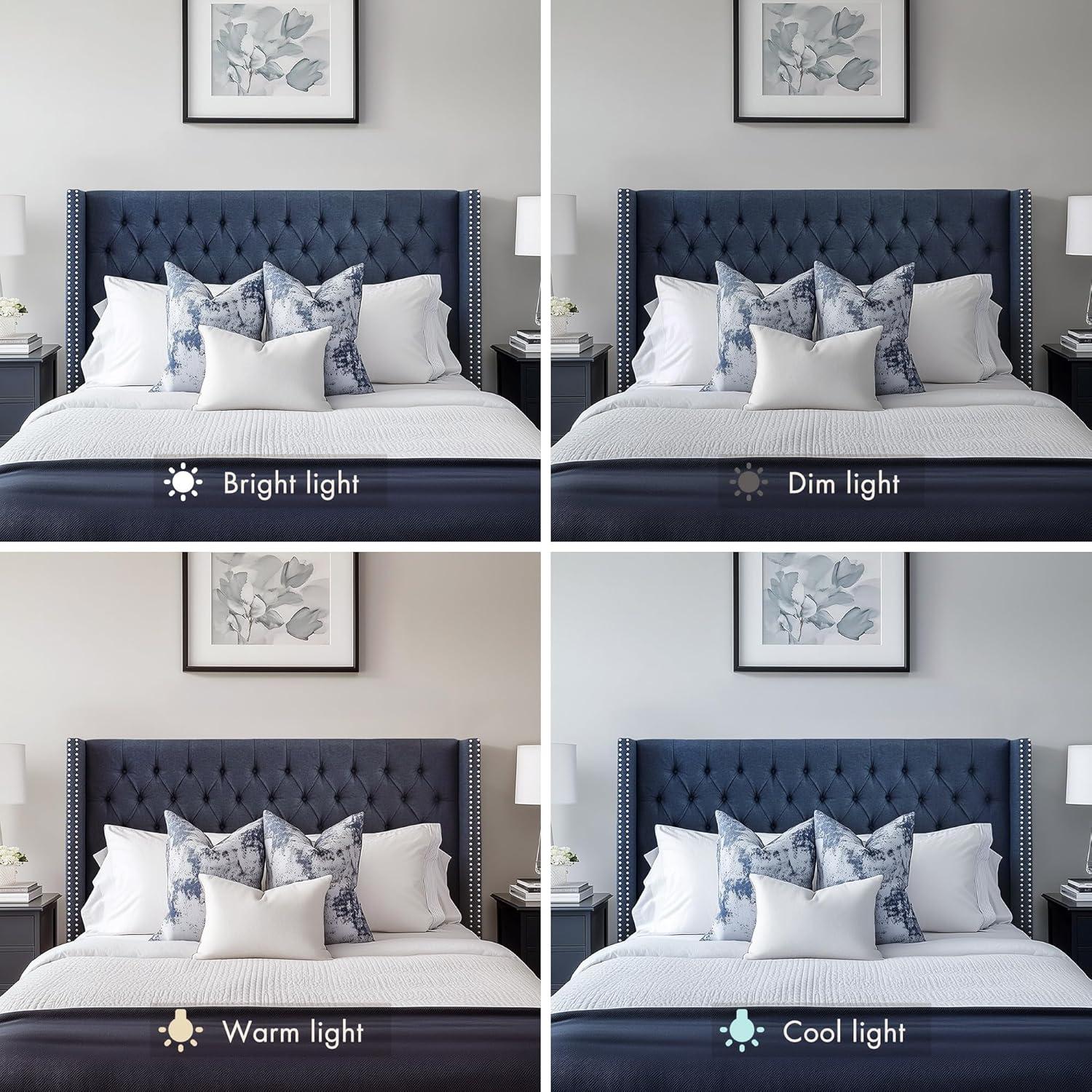 Madison Park Transitional Amelia Amelia Queen Headboard with Navy MP116-1142