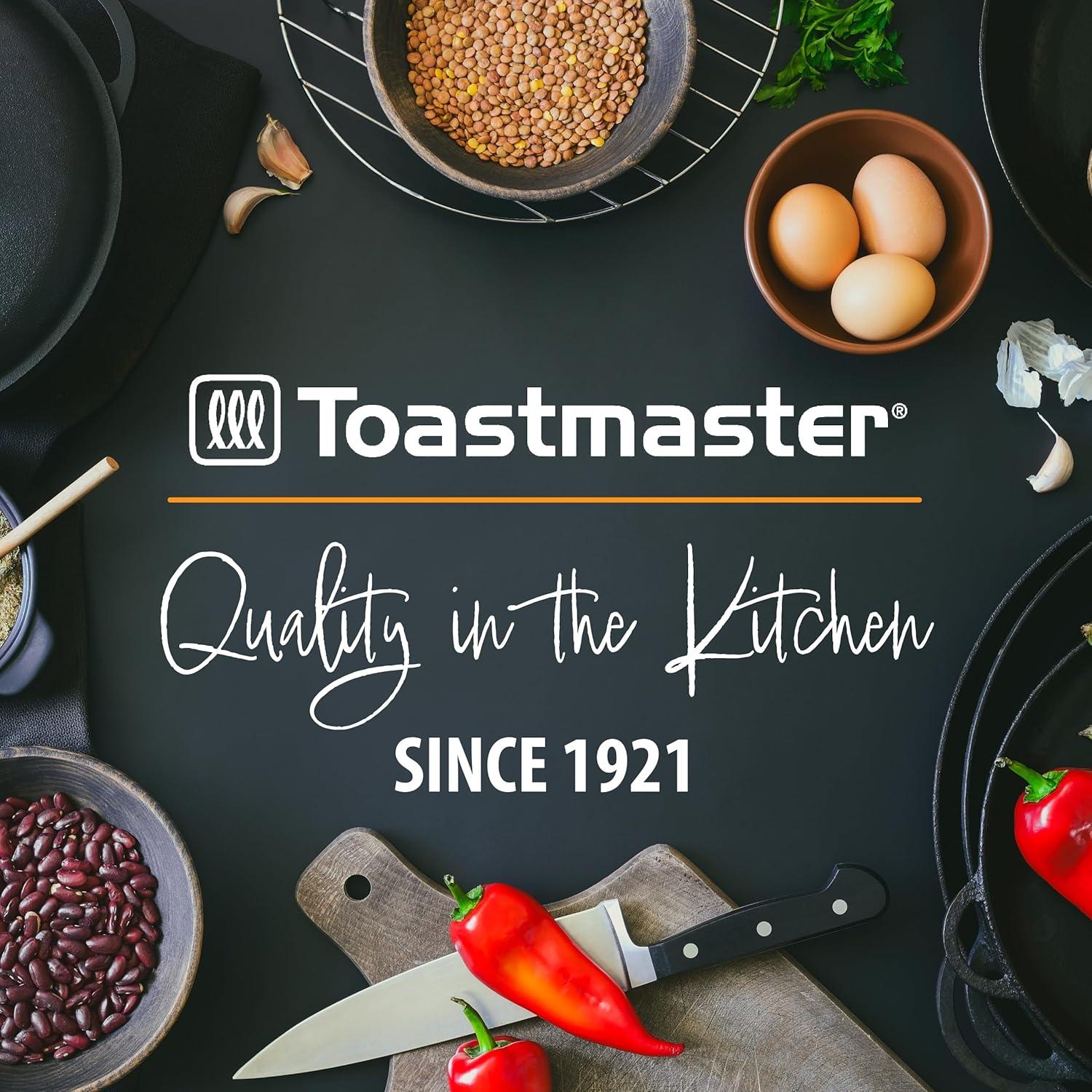 Toastmaster Electric Double Burner [Coil]