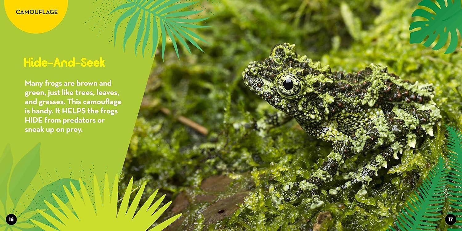 Go Wild! Frogs - by  Alicia Klepeis (Hardcover)