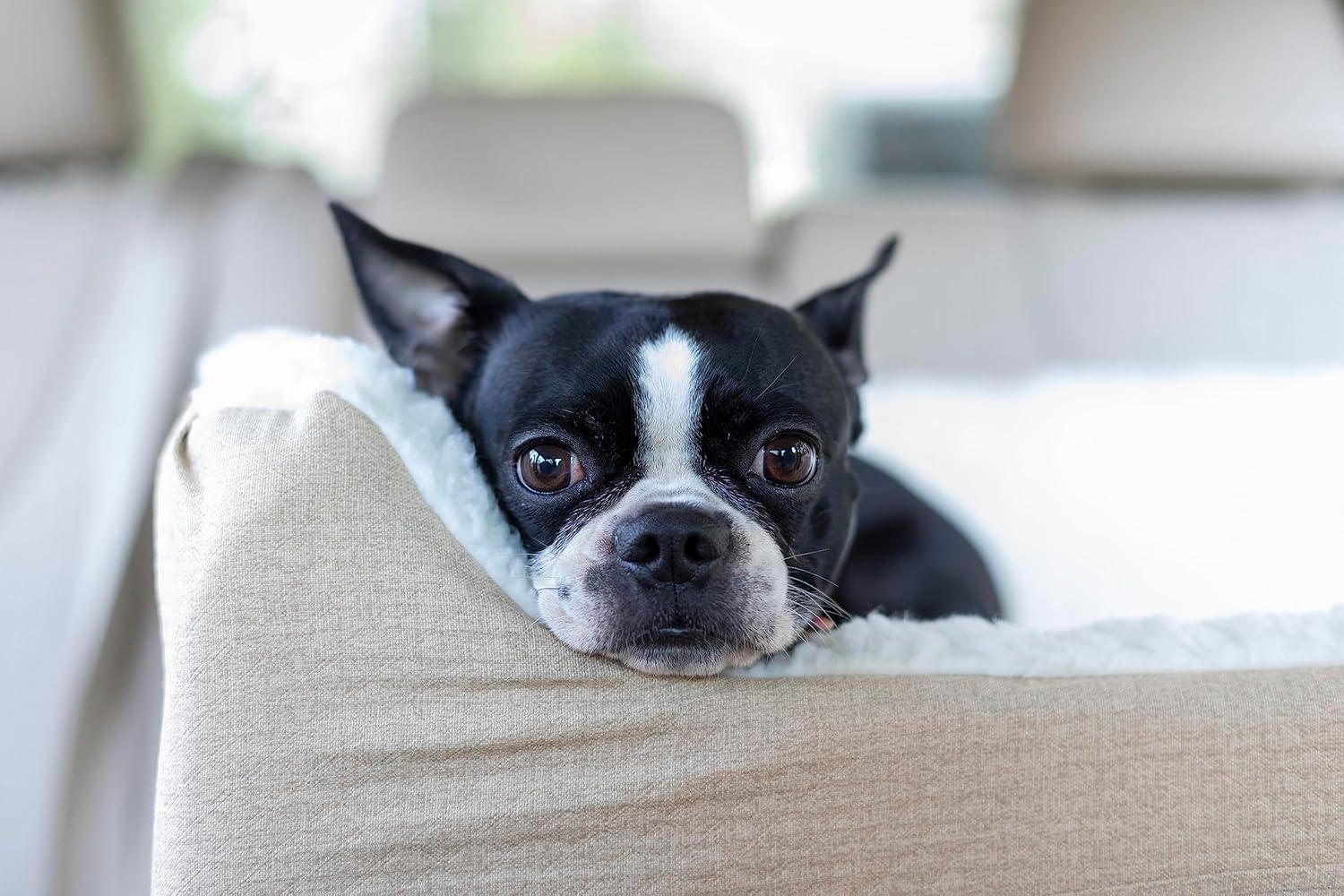 Snoozer Pet Products Snoozer Lookout I Dog Car Seat