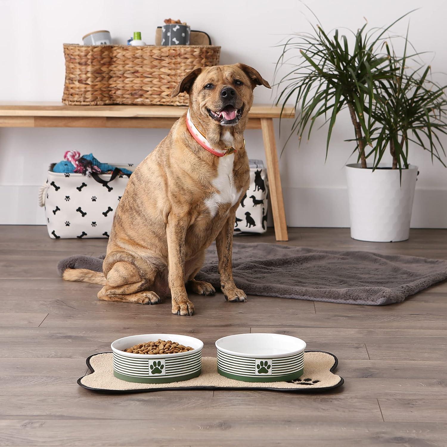Bone Dry Pet Bowl - Paw Patch Stripe Hunter Green - Large 7.5Dx2.4H Set/2
