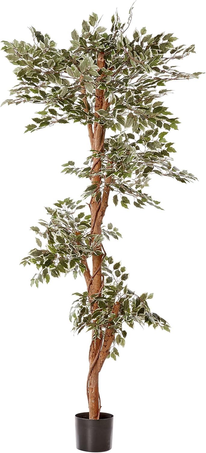 Nearly Natural 6-ft Variegated Ficus Tree