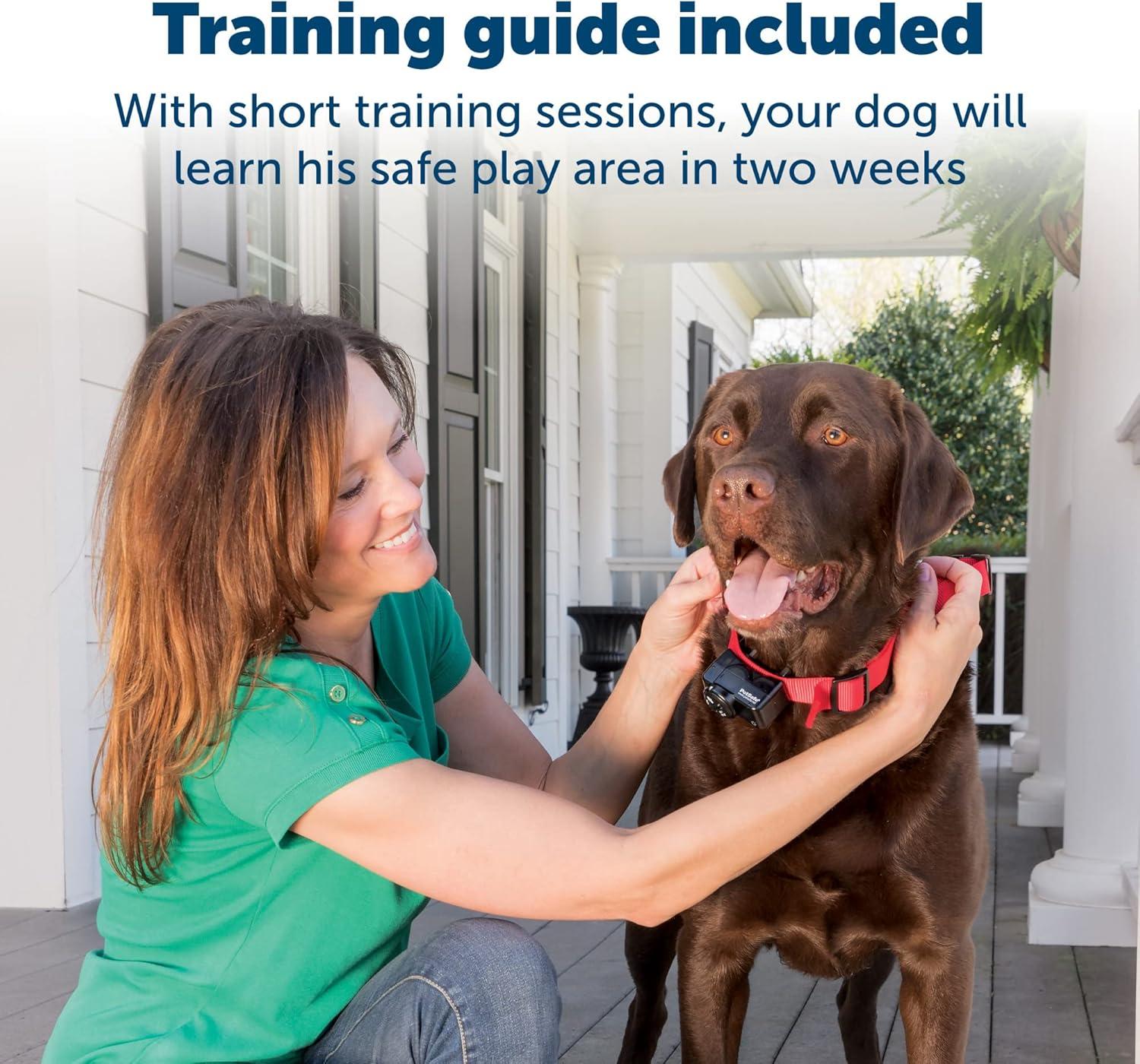 PetSafe® Wireless Pet Containment System Receiver Collar