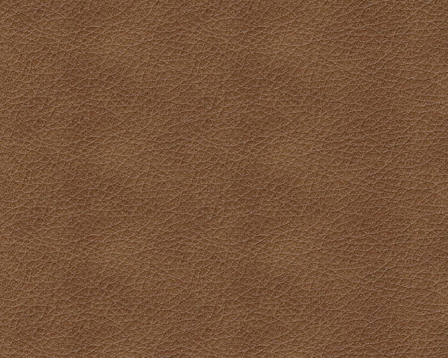 Lonoke Sofa