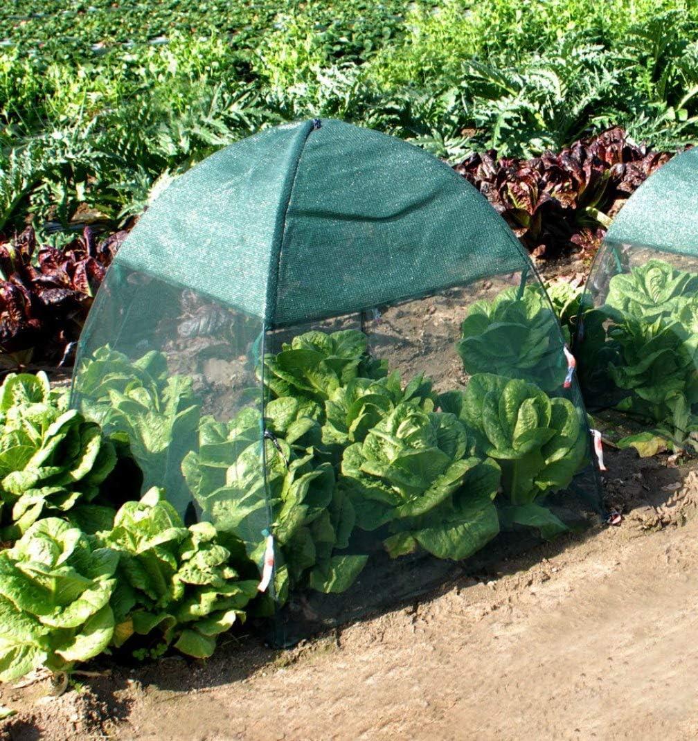 NuVue Products 24209, Bug and Shade Greenhouse Cover: 52" L x 52" W x 54" H - 2 Pack