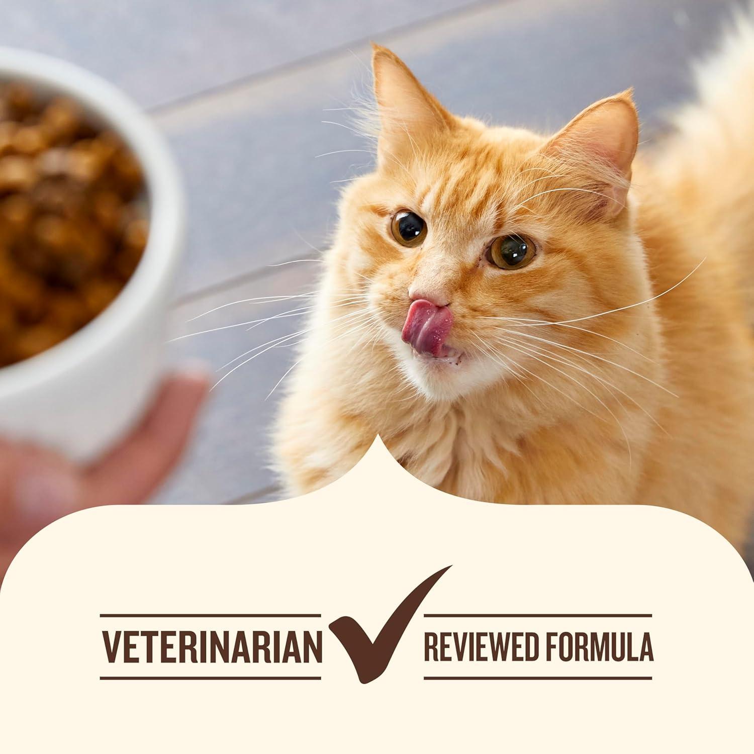 Nutrish Indoor Complete Chicken, Lentils & Salmon Recipe Dry Cat Food (Rachael Ray), 3 lb. Bag