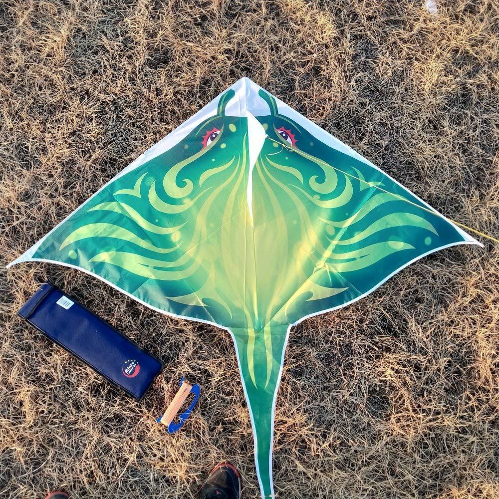 Mint's Colorful Life Devil Fish Kites for Kids AdultsEasy to Fly Delta Kite Single Line Large, Kite Handle Include (Green) Green