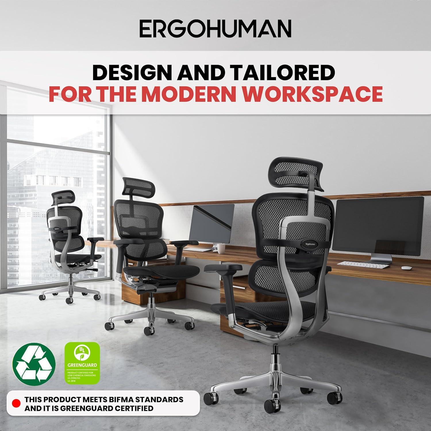 Eurotech Seating Ergohuman Executive Chair with Headrest