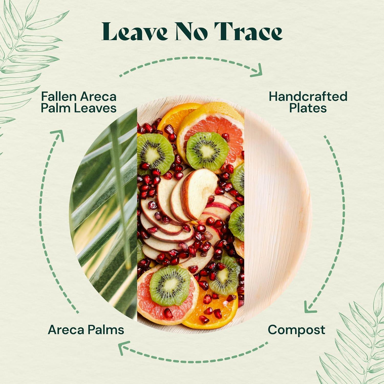 Chic Leaf Disposable Palm Leaf Trays, 17" x 12", 10 Pack, Compostable, Eco-Friendly Platters Charcuterie Board