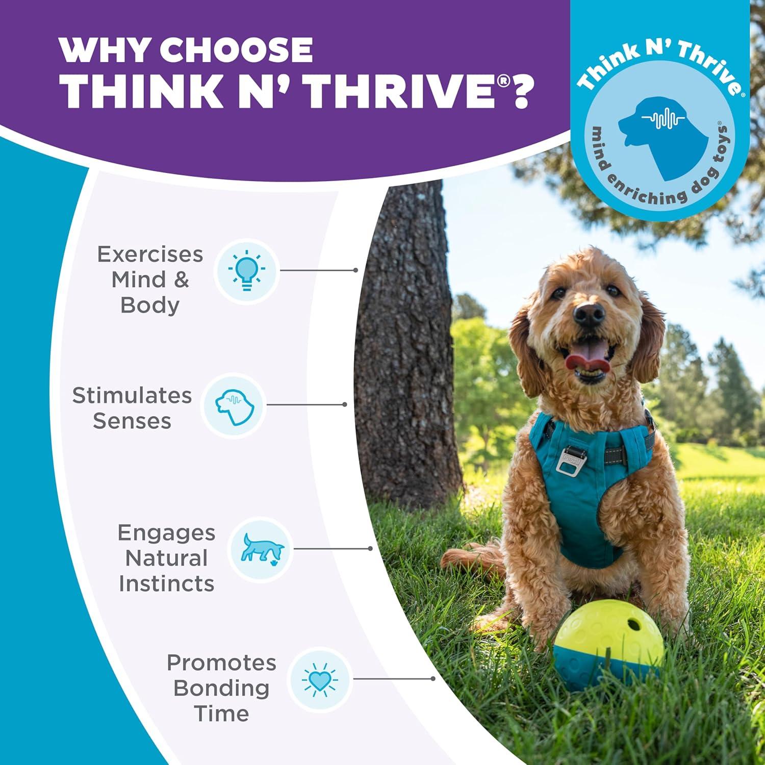 Nina Ottosson by Outward Hound Treat Tumble Interactive Puzzle Dog Toy, Blue, Small