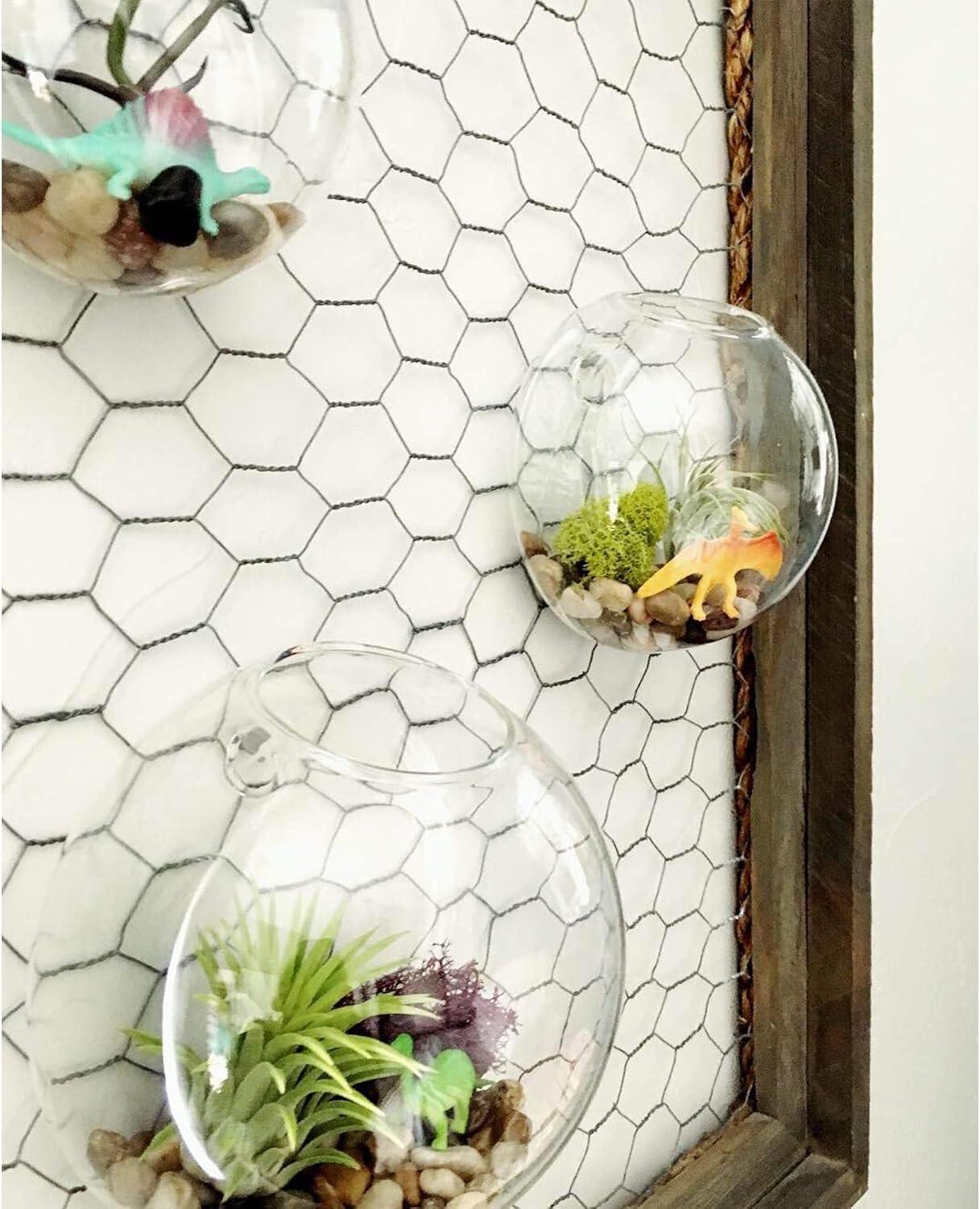 Clear Glass Half-Round Wall Hanging Terrarium Vase