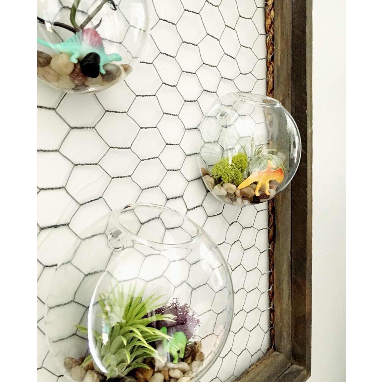 WGV Half Round Wall Hanging Terrarium - 6" Wide x 4" Depth, Good quality, Heavy Weighted Base - 1 Pc