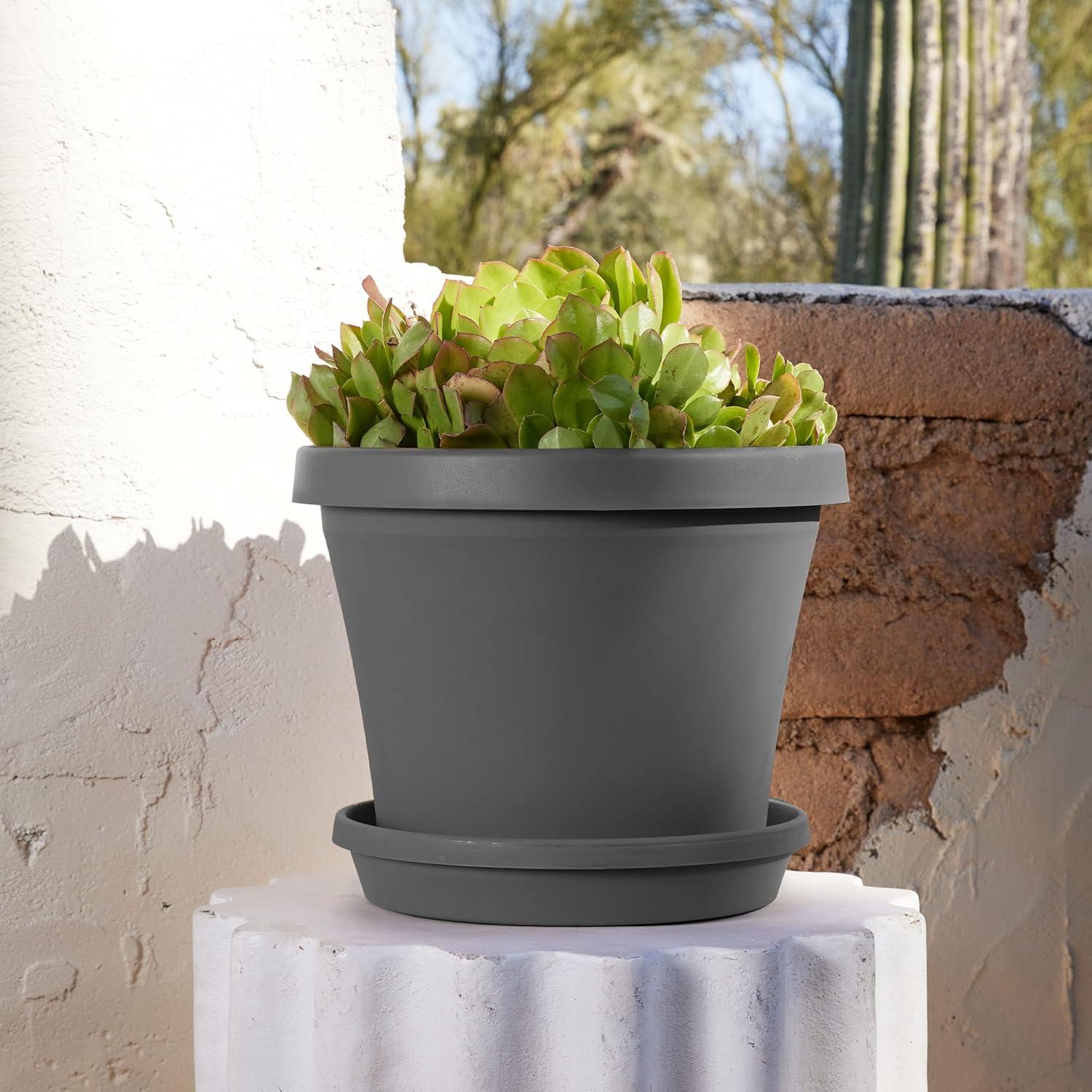 Bloem Terra Pot Planter