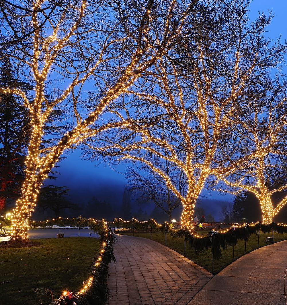 Novelty Lights Warm White 100 LED Christmas Mini Light Set (Brown Wire, 34 Feet)