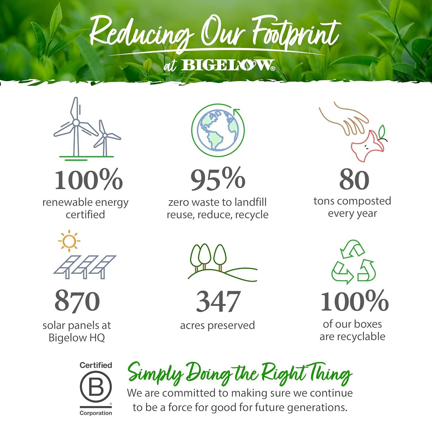 Bigelow Green Tea Variety Pack, Tea Bags, 64 Count