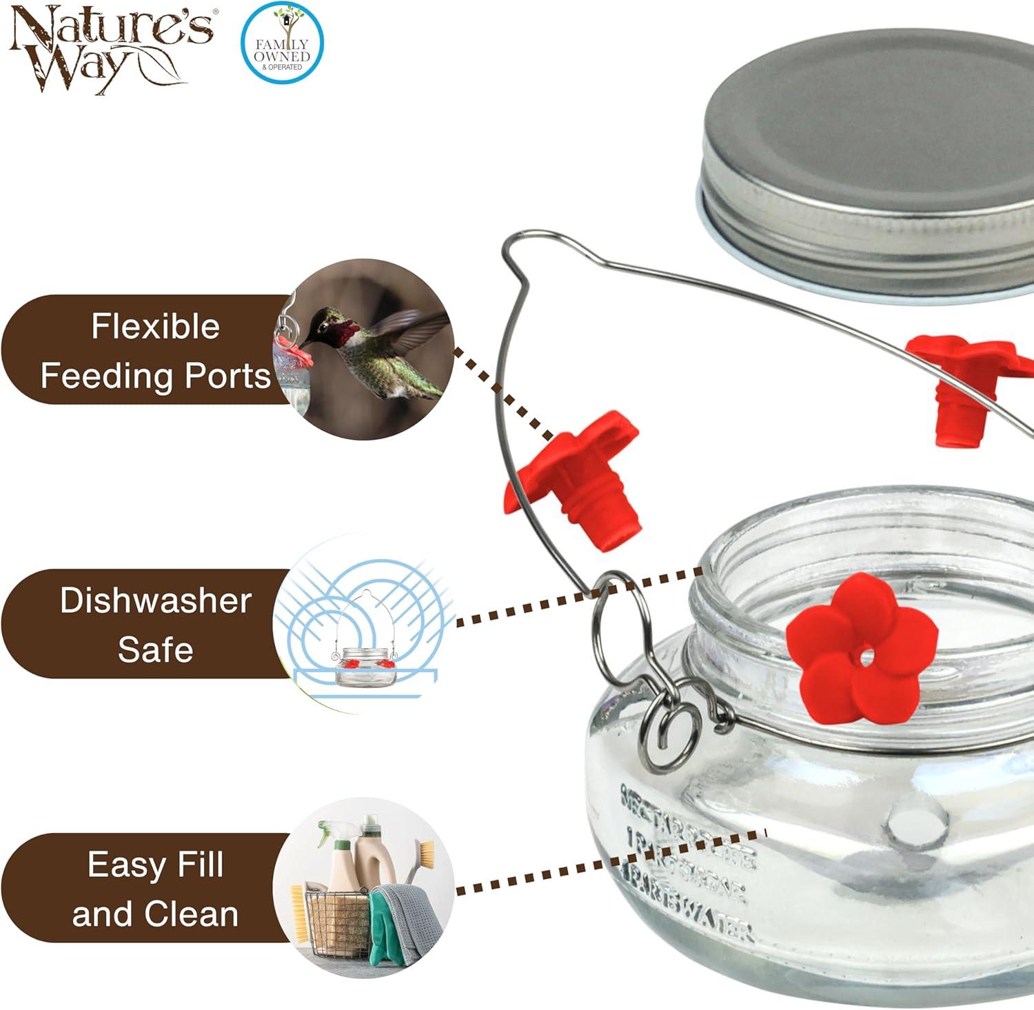 Nature's Way Bird Products Mason Jar Hummingbird Dish Feeder, 6 oz