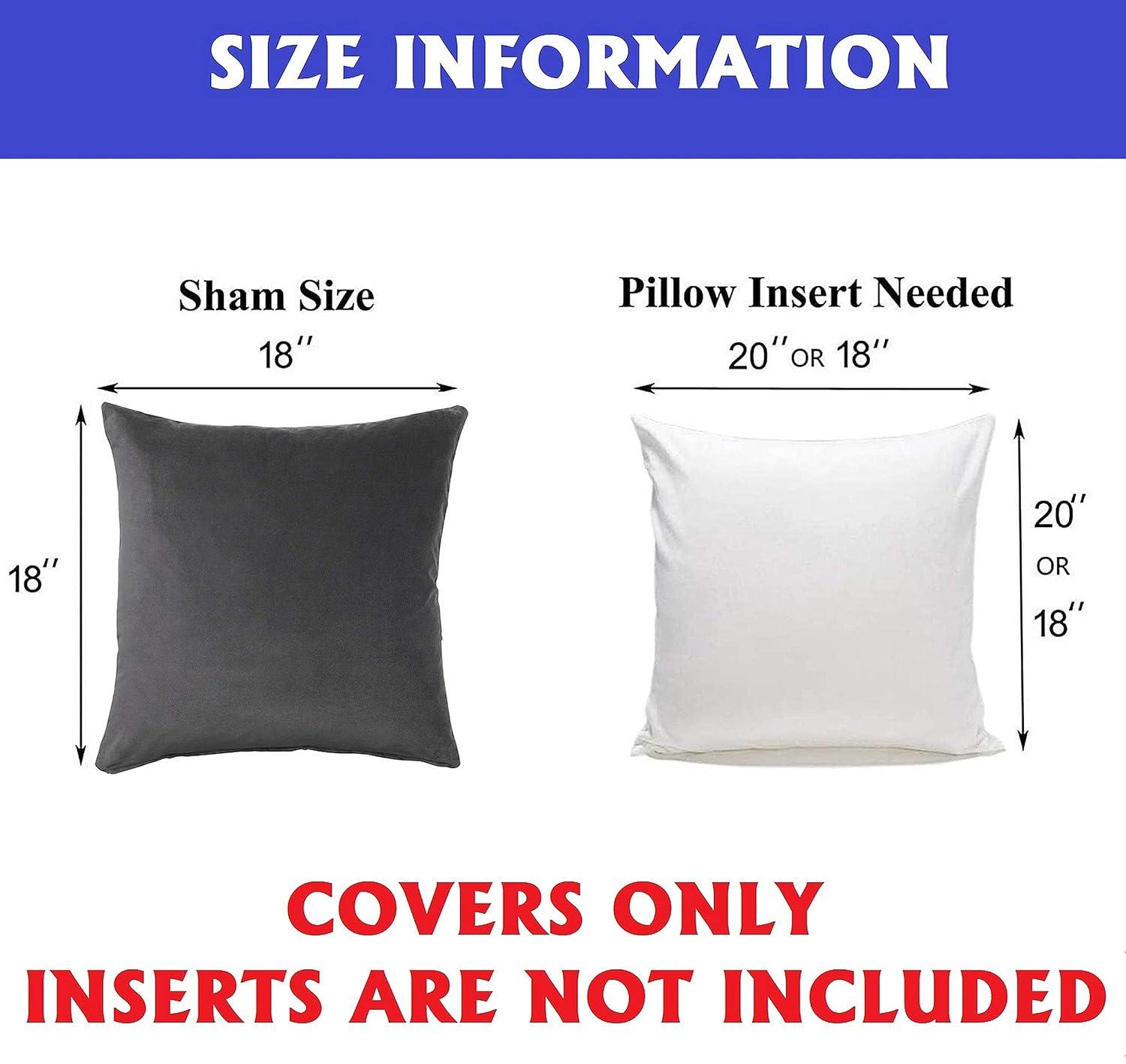 Elegant Comfort POM-POMS Fringe Velvet Cushion Covers Set of 2, Velvet Soft Solid Decorative Square Throw Pillow Covers Set Cushion Case for Couch Bed, Livingroom 18 x 18 Inch (45 x 45 cm), Purple