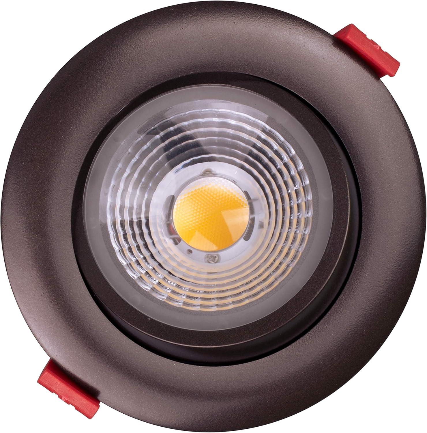 Dimmable Circle Flush Mount