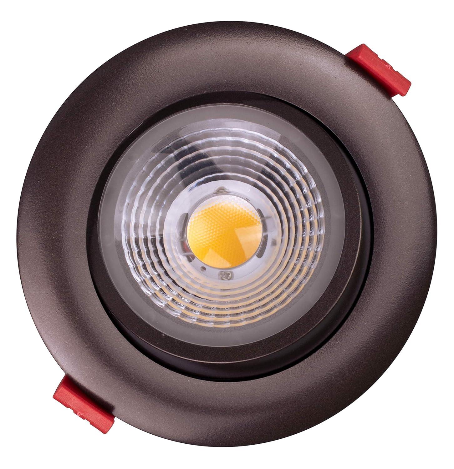 Dimmable Circle Flush Mount