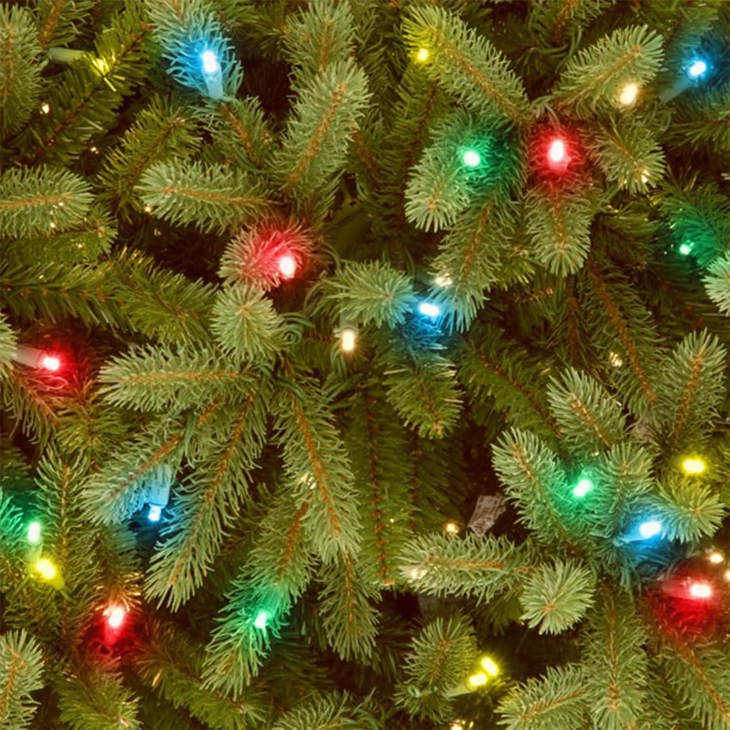 6.5' Prelit Jersey Fraser Fir Artificial Christmas Tree Clear Lights - National Tree Company