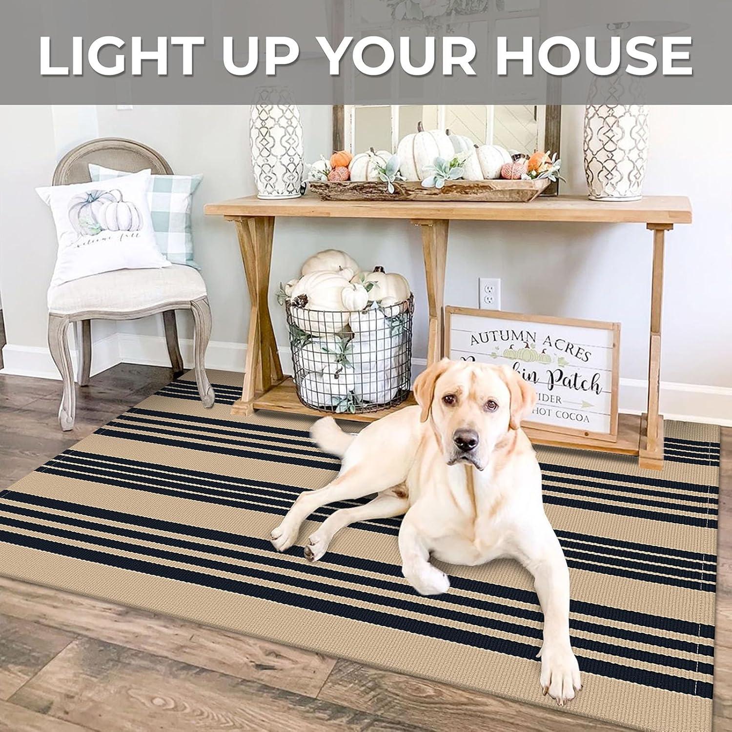 IOHOUZE Navy and White Striped Rug 2'x3' Front Door Rugs, Small Washable Area Rug for Front Porch, Spring Summer Doormats Outdoor Indoor, Cotton Rugs for Entryway Porch Entrance