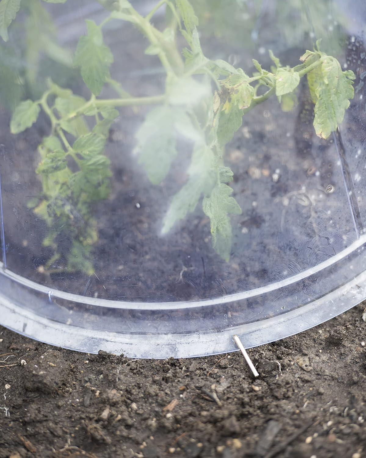 Gardeners Supply Company Large Garden Cloche Plant Protector | Clear Sturdy PVC Plants Bell Dome Heat & Freeze Cover with Top Hole Ventilation for