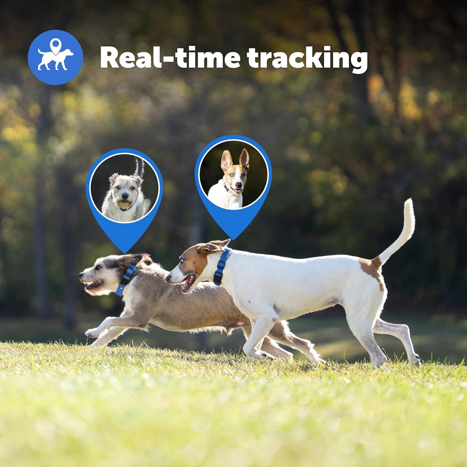 PetSafe Guardian GPS + Tracking Dog Wireless Fence Collar, Over 3/4 Acres, Subscription Required