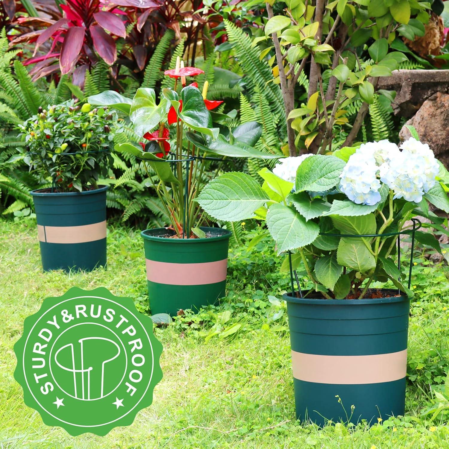 LEOBRO Plant Support Stakes, 6PCS Plant Stakes, Plant Support, Garden Stakes, Peony Cages and Supports, Plant Supports for Outdoor Plants, Monstera Tomato Hydrangea Support Cage, 9.8" W x 15.7" H C48