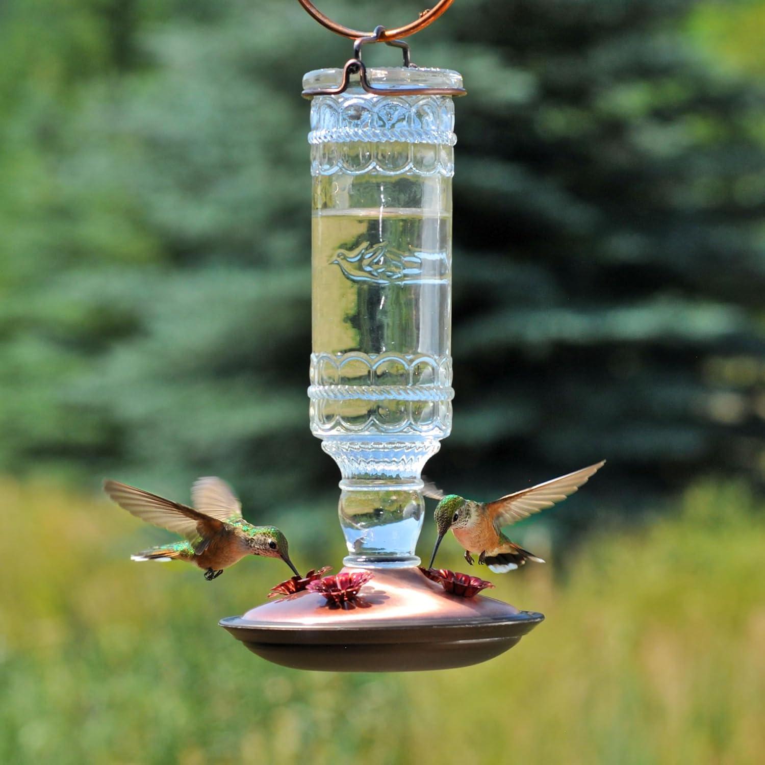 Antique Glass and Metal Hummingbird Feeder with 10-Ounce Capacity