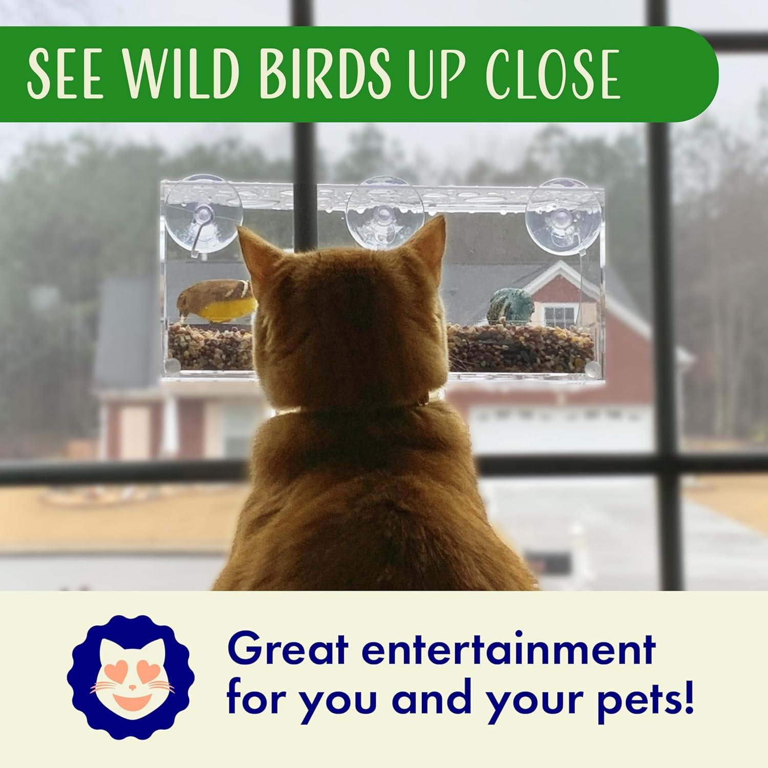 Nature’s Hangout Clear Suction Cup Window Bird Feeder for Wild Birds