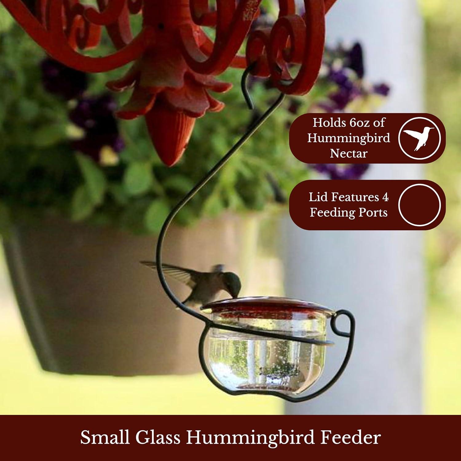 Backyard Essentials Clear Bubble Glass Hanging Hummingbird Feeder - 6 oz