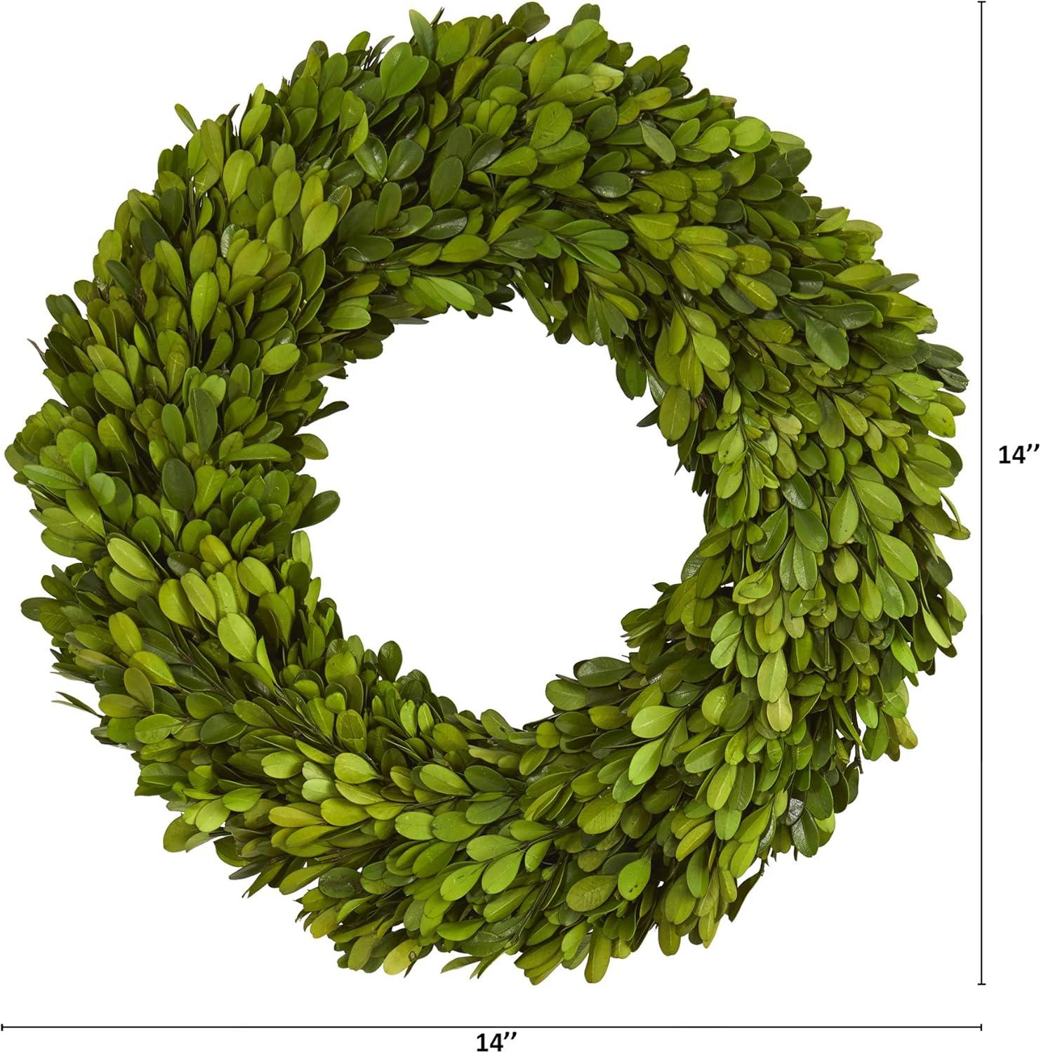 Nearly Natural 14” Preserved Boxwood Wreath