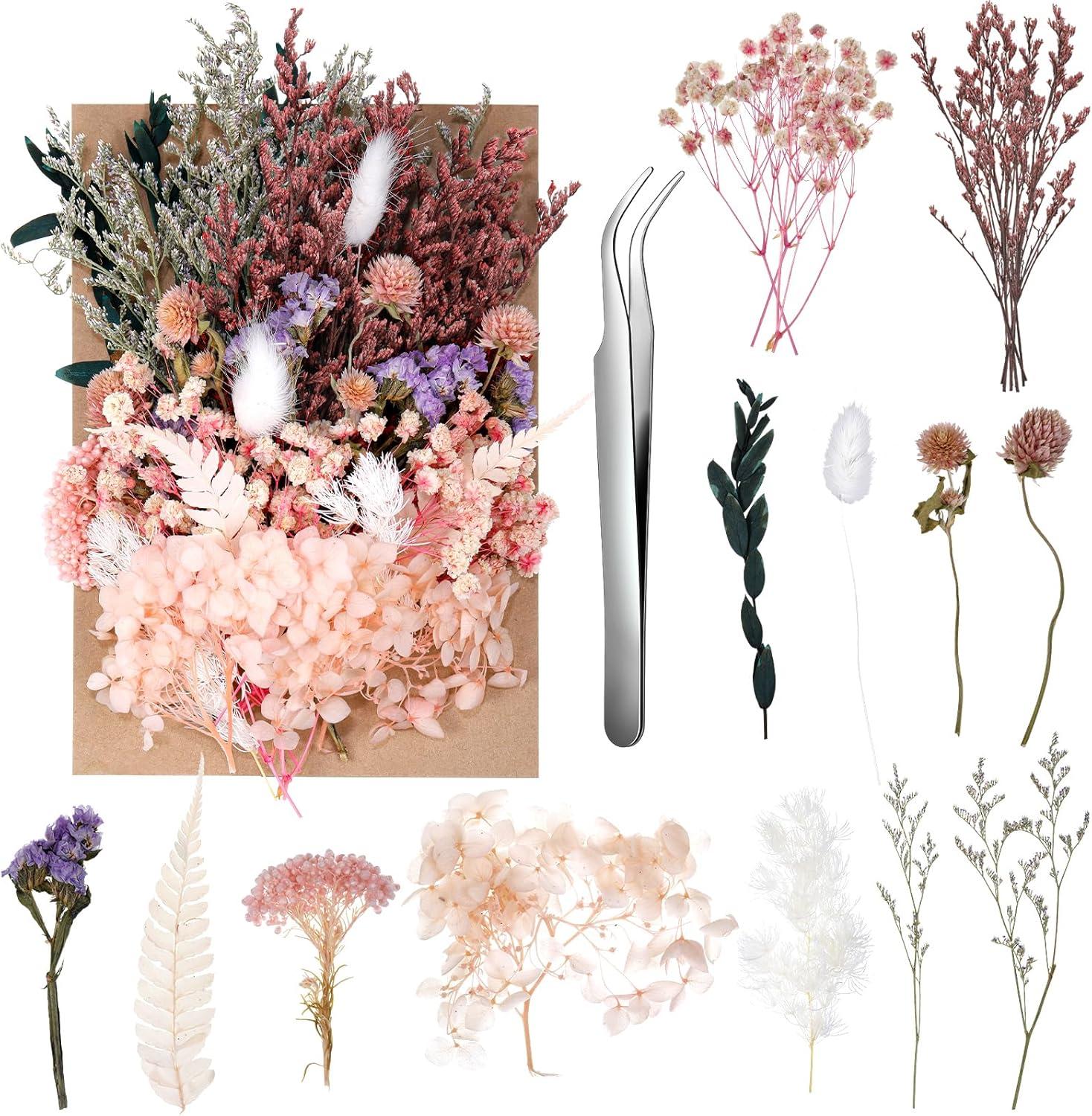 Yoloke DIY Dried Flowers Craft Kit - Natural Assorted Dried Florals for Making Everlasting Valentine's Day Gifts, Unique Design, Perfect for Framing & Creative Decor