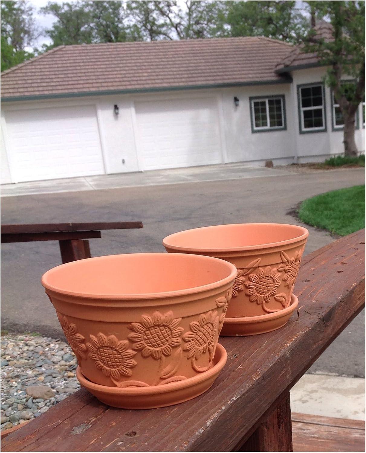 Sunflower Embellished Terracotta Garden Pot Duo with Tray